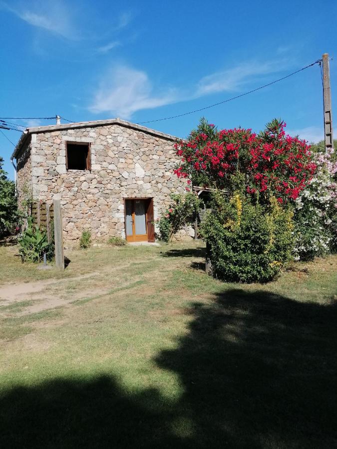 Sarrola-Carcopino Gîte en Pierre Extérieur photo